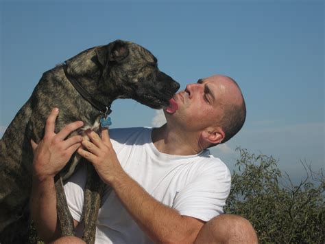 Filedog Kissing Wikimedia Commons