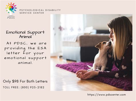 Emotional support animal | Emotional support animal, Emotional support, Support animal