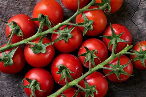 Tomato Moneymaker Seeds Boondie Seeds