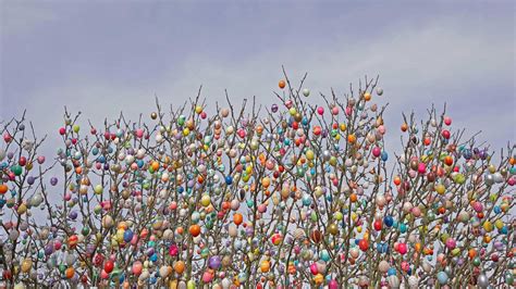 Egg Tree Bing Wallpaper Download