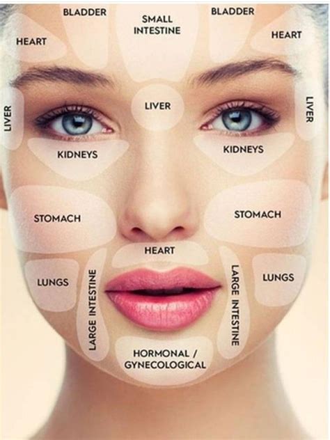 Pin By J R On Health And Wellness Face Mapping Face Mapping Acne