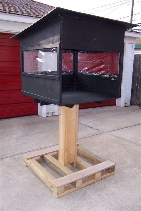 Feral cat populations can grow to unhealthy and dangerous proportions if not regulated. Evolution Of My Feeding Station | Pet feeding station ...