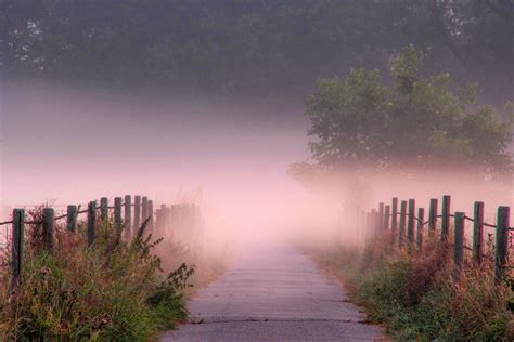 Purple Fog And Mist On The Path Image Free Stock Photo Public