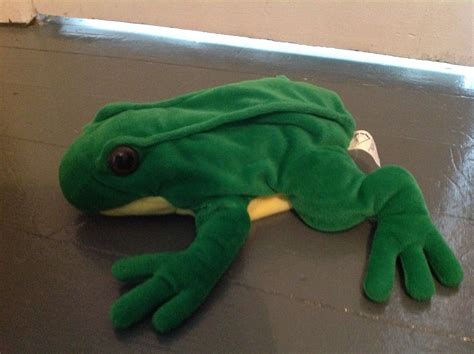 Phineas The Frog Puppet By Dakin Frog Puppet Baby Einstein Toys