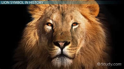 Lion Of The Tribe Of Judah History Symbol And Meaning Video And Lesson