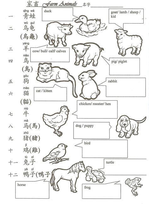 Free Printable Chinese Worksheets For Kindergarten
