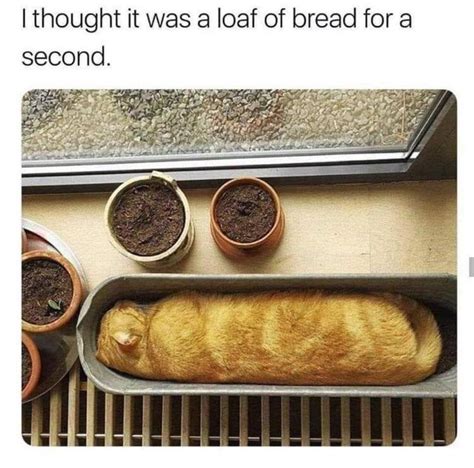 Blursed Bread Rblursedimages