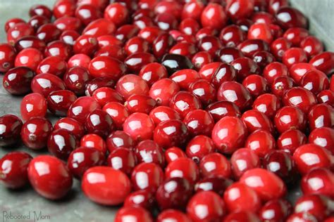 Sugar Covered Cranberries Recipe