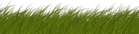 Grass Texture Alpha