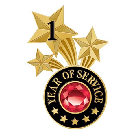 1 Year Of Service Triple Star Lapel Pin With Jewel Box Positive