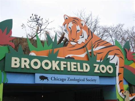 Brookfield Zoo Brookfield Zoo Zoo Chicago Chicago Travel