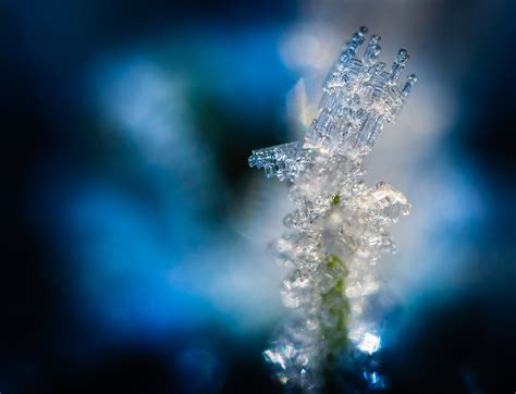 Wallpaper Water Sky Winter Ice Frost Bokeh Hoarfrost Dew