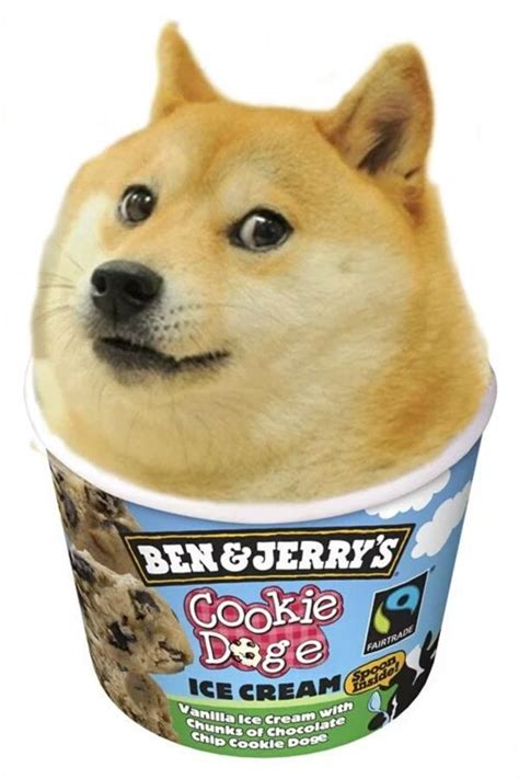 Cookie Doge Doge Know Your Meme