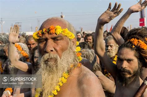 Naked Naga Sadhus Holy Men Participating In The Procession Of Shahi Snan The Royal Bath