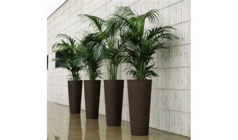 Plantes d'intérieur en pots design. Pot design ILIE pour interieur ou exterieur, Blanc, vert ...