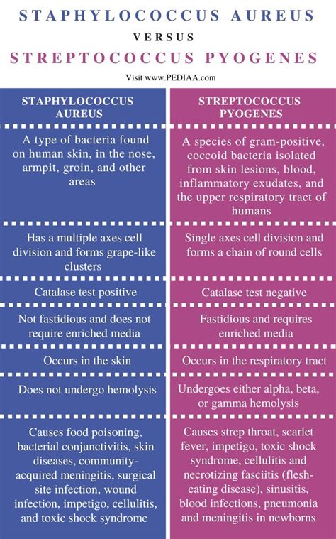 What Is The Difference Between Staphylococcus Aureus And Streptococcus Pyogenes Pediaa