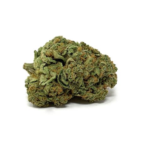 Buy Pre Rolled Mango Kush Online In Canada Pacific Grass