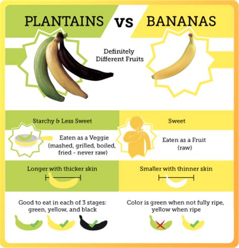 How Do You Say Cuál Es La Diferencia Entre Banana Y Plátano In