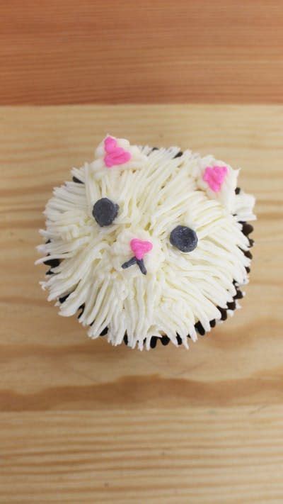 Kitty Cat Cupcakes Recipe Cat Cupcakes Kitten Cake Cat Cake