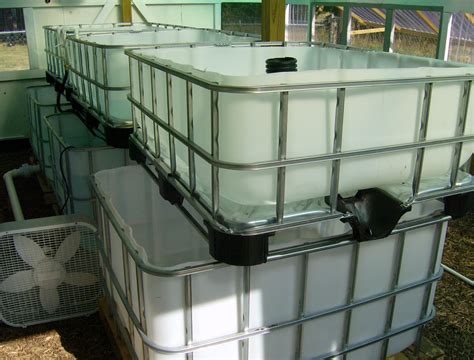 The Aquaponics Gardener Ibc Tote Tank Aquaponics
