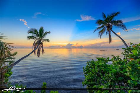 Indian Riverside Park Coconut Tree Sunrise Jensen Beach Florida Hdr