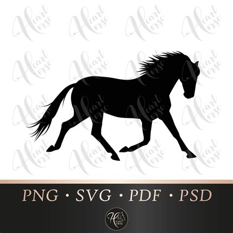 Trotting Horse Silhouette Equestrian Graphic Equine Clipart Horse
