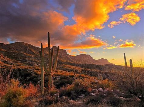 This Jaw Dropping Mountain Range Takes You To The Highest Point In Tucson