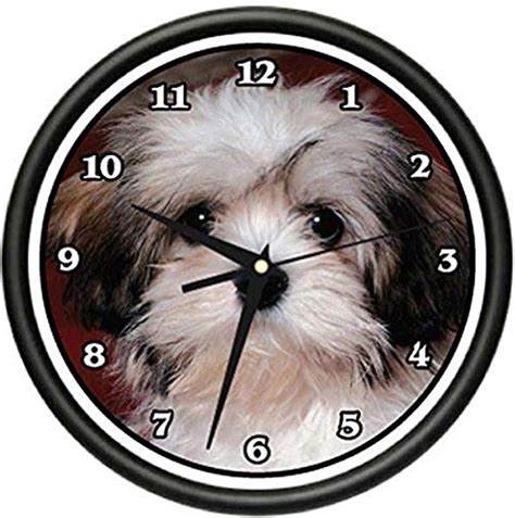 Signmission Beagle Havanese Wall Clock Dog Doggie Pet Breed