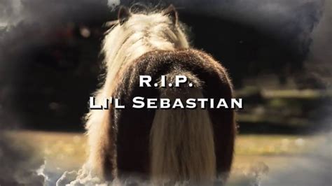 A Tribute To Lil Sebastian Tiny Horsehero Youtube