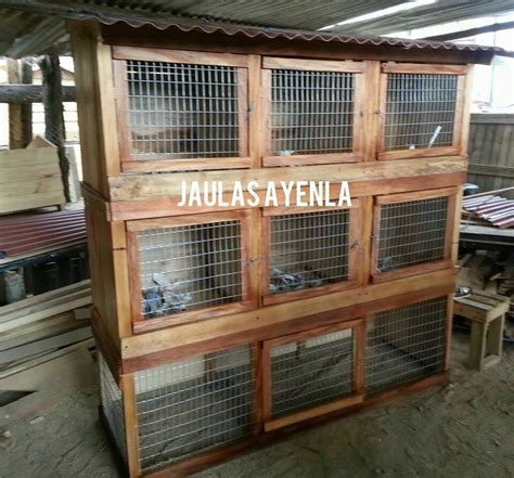 Jaula De Gallos De Pelea Backyard Chicken Coops Chickens Backyard Chicken Coop