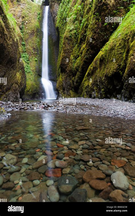 Lower Oneonta Falls And Oneonta Gorge Oregon Usa Stock Photo Alamy