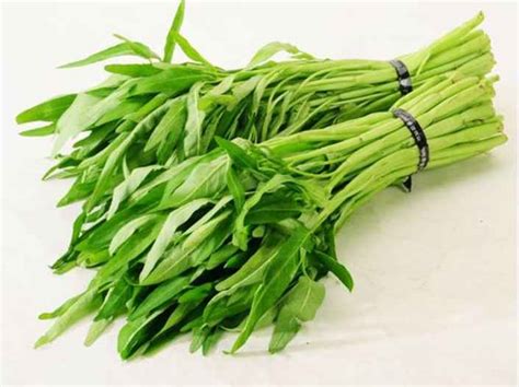 Rasanya lezat dengan tekstur yang lembut dan sedikit renyah bahkan semakin menambah selera makan. Gambar Mewarnai Sayur Kangkung - gambarmewarnai2019