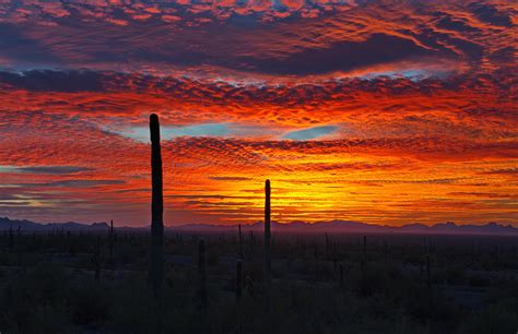 Sunset In The Sonoran Desert Of Southern Arizona Oc 4000x2584 R