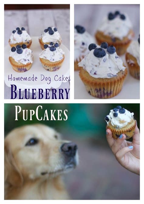 If us humans celebrate with cake and to satisfy your need to bake for your pup — and share the evidence all over instagram — we've rounded up seven doggy cake (a.k.a. Simple Homemade Dog Cake Recipe: Blueberry Pupcakes: - Close To Home