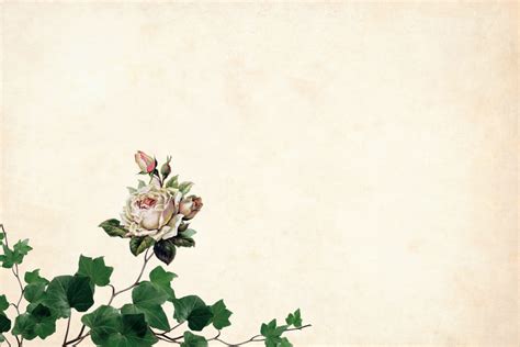 32 Sketsa Bunga Gelombang Cinta Galeri Bunga Hd