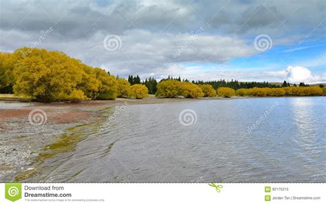 Trees Dressed In Yellow Leaves During Autumn At Pines Beach Lake