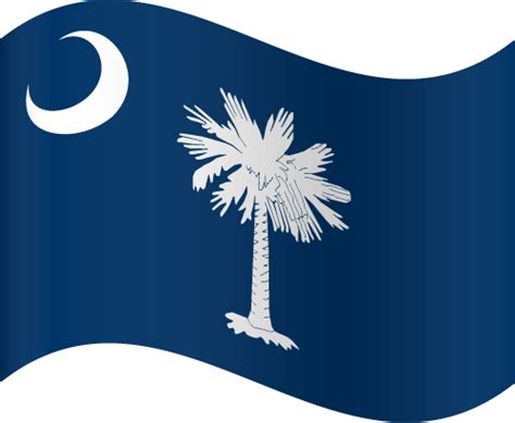 Vector Country Flag Of South Carolina Waving Vector Countries Flags