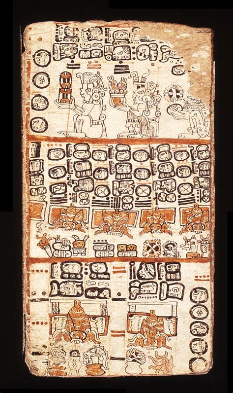 Mayan Codex Ancient Writing Ancient Maya Ancient Mexico