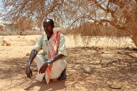 Drought Land Degradation Affect 15 Billion People Un Report