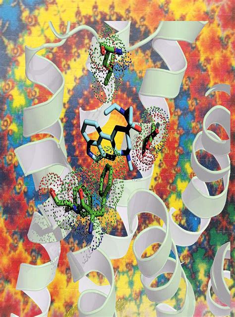Protein Structure Reveals How LSD Affects The Brain National Institutes Of Health NIH