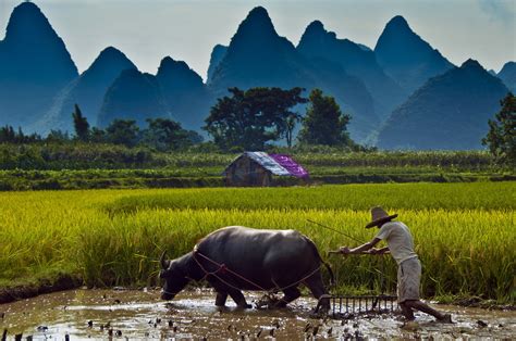 Pasang ekstensi bernama view background image. 43+ Vietnam Countryside Scenery Wallpaper on WallpaperSafari