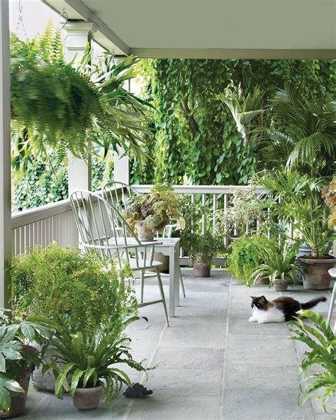 Patio Inspiration With Lots Of Plants Porch Plants Front Porch