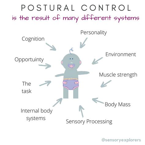 Postural Control Development In Infants