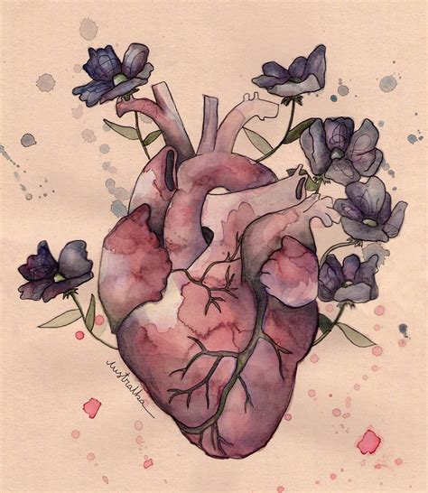 Corazon Real Dibujo Heart Anatomy Corazones Disenos De Unas