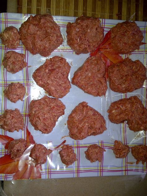 Maybe you would like to learn more about one of these? diari: Resepi Daging Burger