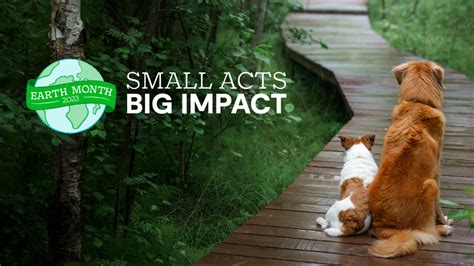 Small Acts Big Impact Open Farm