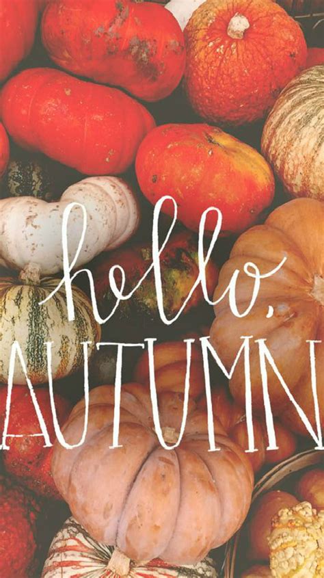 Hello Autumn Pumpkins Hd Phone Wallpaper Peakpx