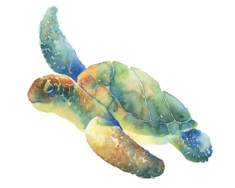 Sea Turtle Print Of My Original Watercolor Painting By