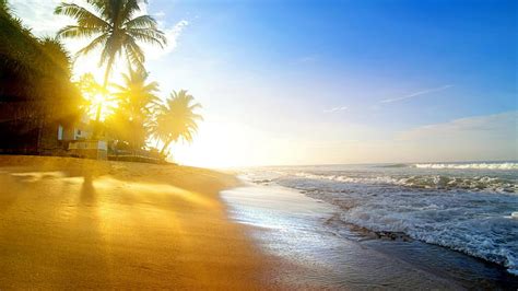 Hd Wallpaper Coast Summer Sunrise Sand Sandy Beach Tropical