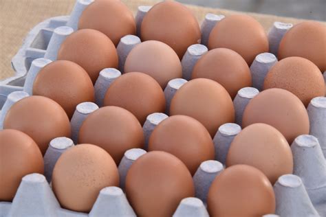 20 Brown Eggs Free Stock Photo Public Domain Pictures